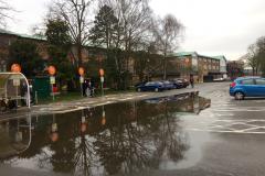 Ducking responsibility for Wilmslow lake
