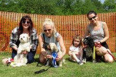Popular dog show returns for 9th year