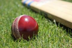 Cricket: Lindow fall one wicket short