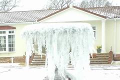 Reader's Photo: Frozen water fountain