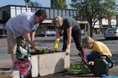Incredible Edible plants first community plots