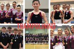 Trampolinists bounce their way to national finals