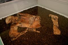 Tribute to Lindow Man 30 years on