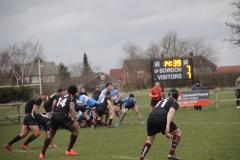 Rugby: Wolves lose closely fought battle to Bowdon