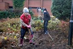 Community groups digging in together