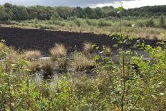 Reader's Letter: Residents demand a say on the future of Lindow Moss