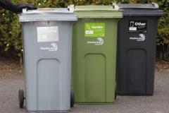 Check your Christmas and New Year bin collections