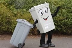 Council working to supply any missing silver bins