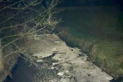 Pollution in River Bollin kills thousands of fish