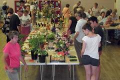 Show off your skills at annual village show