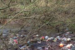 Call for action to clear rubbish from River Bollin