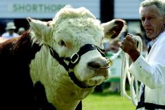 Plans underway for spectacular Cheshire Show