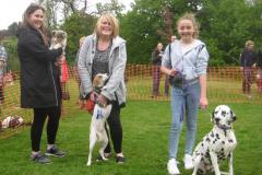 Annual dog show goes down a treat