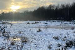Work to commence on the restoration of Lindow Moss
