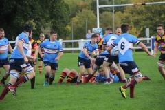 Rugby: Wolves suffer disappointing loss after such a promising start