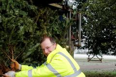 The charitable way to dispose of your tree