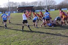 Rugby: Struggling Wolves suffer another loss at Sandal