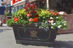More planting planned for town centre