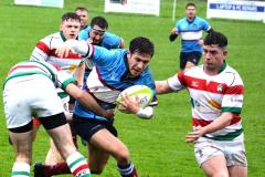Rugby: Disappointing loss for Wolves in local derby