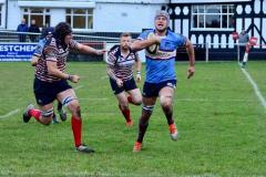 Rugby: Wolves triumph in close hard fought game