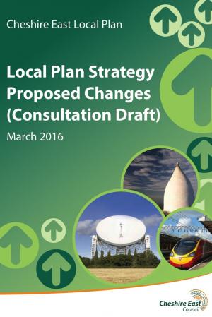 LPS  Front Cover - Consultation Draft