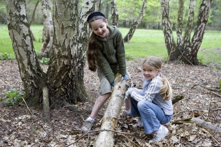 Come along to a woody weekend at Styal Wood Fair! c National Trust