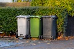 Green bin savings not transferred to pothole budget