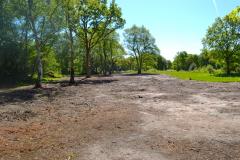 Criminal damage at Lindow Common