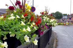 Wilmslow in full bloom for judges visit