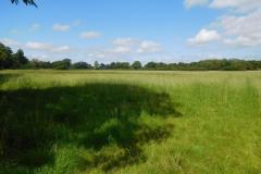 Planning board divided over demolition of house to create access for 200 new homes