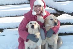 The Dogfather: Dogs don't care how rich you are