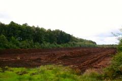 Campaign for restoration of peat bog