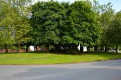 Work continues to clear overgrowth from town centre