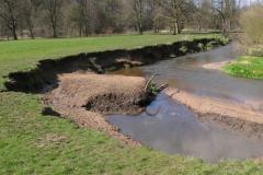 Dog drowns in River Bollin