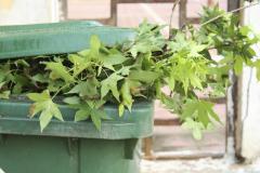 Garden waste service has now resumed