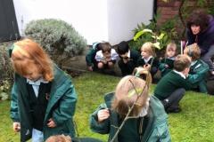 Schoolchildren plant crocuses to help Rotary's polio campaign spring to mind