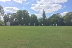 Cricket: Squirrels draw in local derby