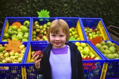 Celebrating the apple at Quarry Bank Mill