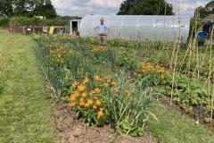 Residents invited to Wilmslow Community Market Garden Open Day