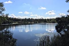 Reader's Photos: Rossmere Lake