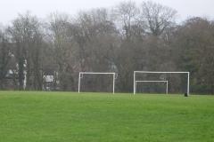 Council to consider policy for maintaining green spaces