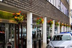 Town Council to fund hanging baskets again