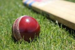 Cricket: Lindow suffer unexpected home defeat