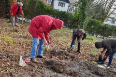 Volunteers keeping Wilmslow blooming marvellous