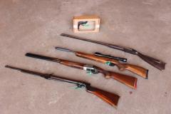 Constabulary launches spring firearms surrender