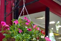 Town Council to offer businesses hanging baskets