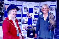 Rain fails to wash out Paddock Fair