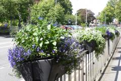 More planters to brighten up town centre