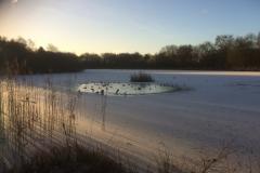 Reader's Photo: Frosty morning at Black Lake