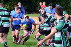 Rugby: Wolves lose at home to Lymm